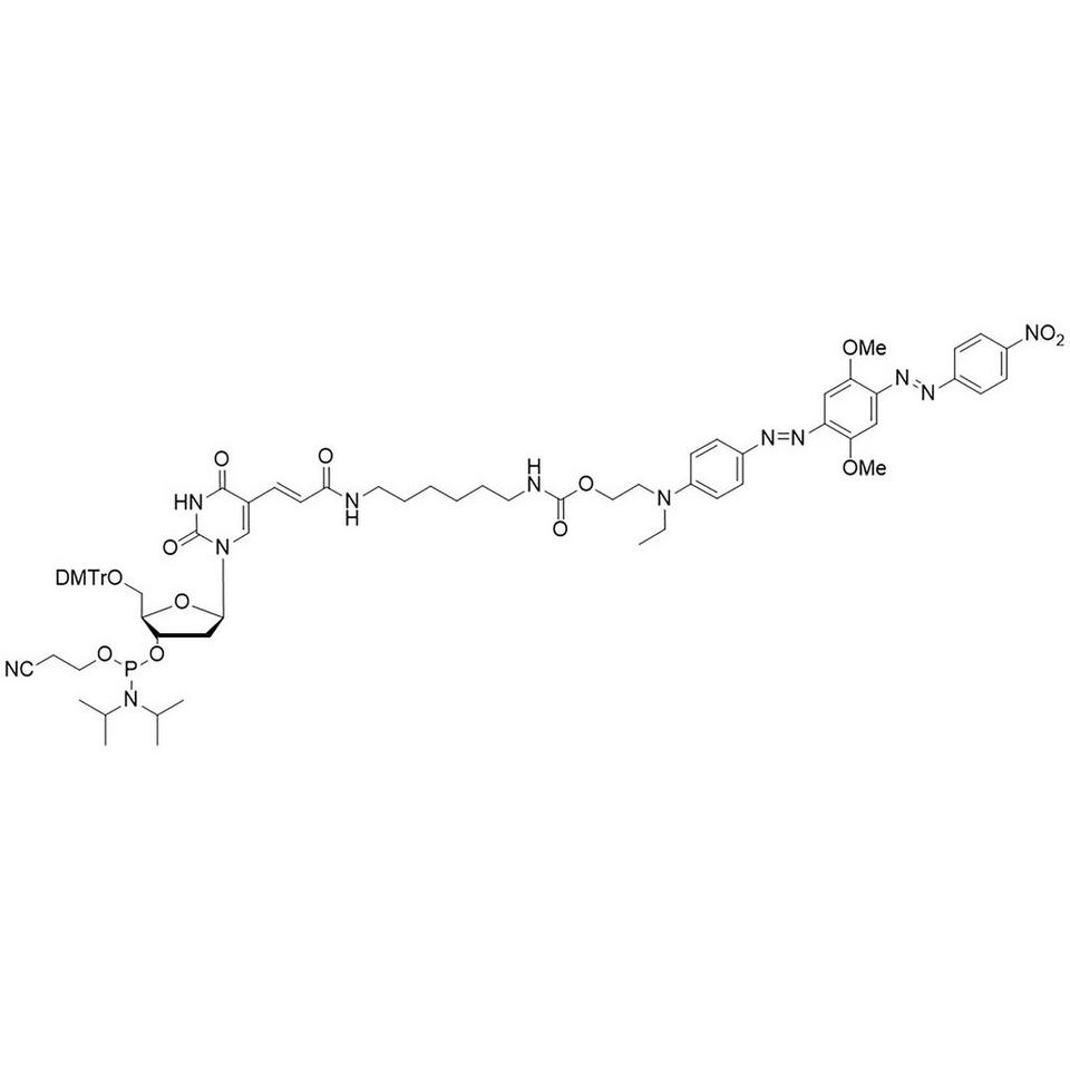 BHQ-2 dT Linker Amidite, 100 μmol, ABI (5 mL / 20 mm Septum)